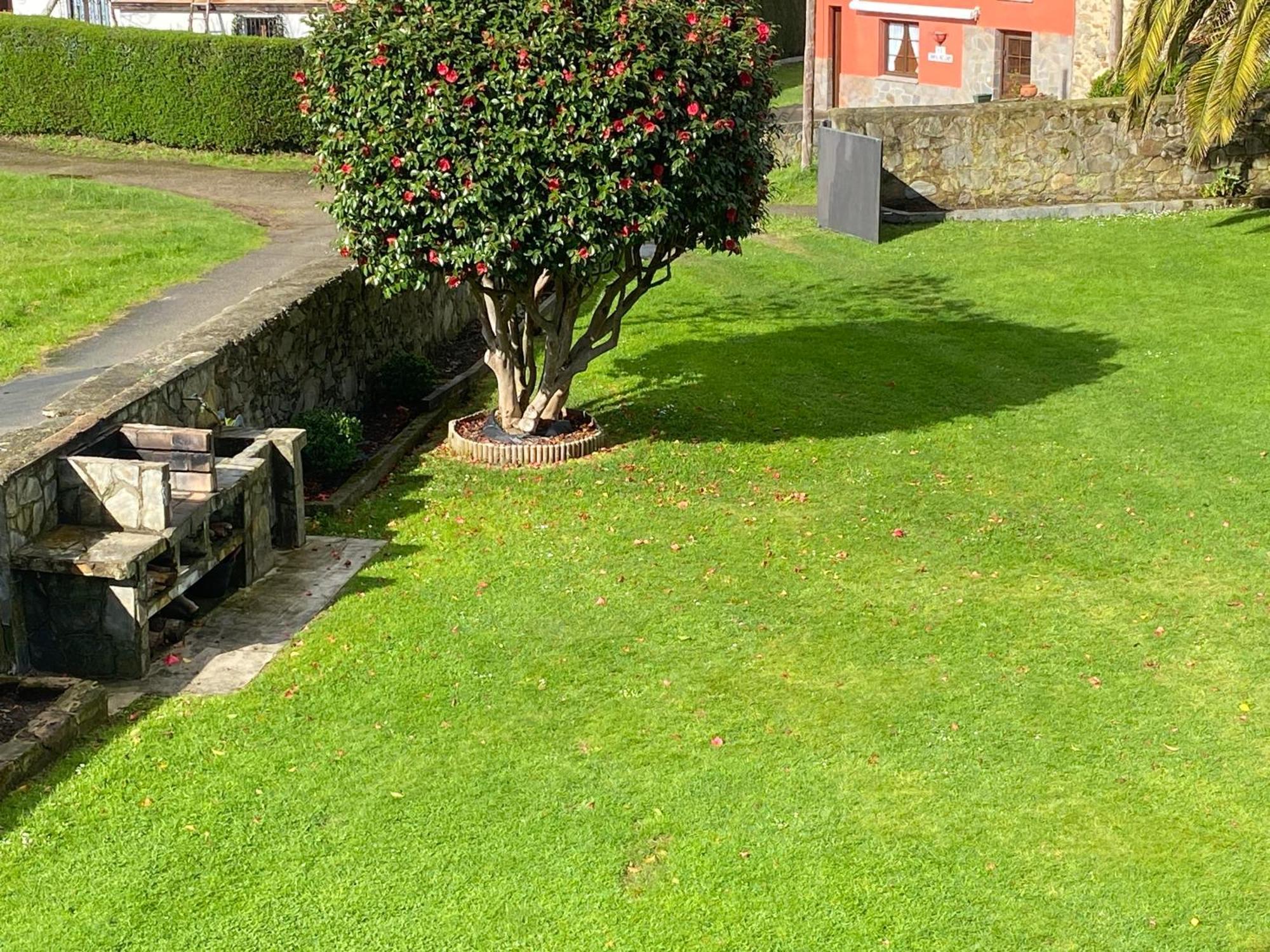 Mar Y Montana - Casa Completa Privada Holiday home Lamuno